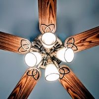 which color ceiling fan should you buy for your home