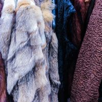 how to store fur coats at home