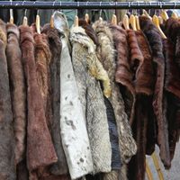 some tips to store fur coats at home