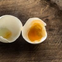 guide on what to do with rotten eggs
