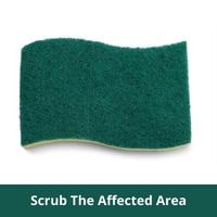 Scrub the Affected Area