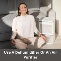 Use a Dehumidifier or an Air Purifier