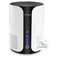 best air purifier for cigarette smoke