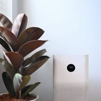 best air purifiers for smoke under $100