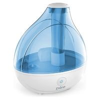 best humidifier for dry air in winter