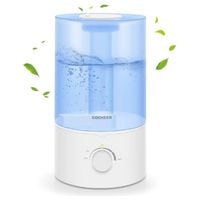 best humidifier for dry eyes and skin