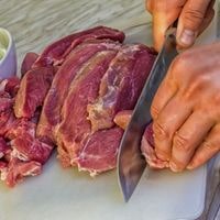 best knife for cutting raw meat