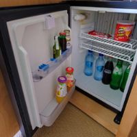 factors to consider while buying mini fridge