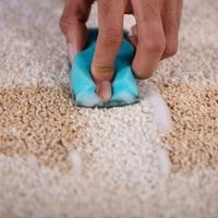 How To Remove Rust Stains From Carpets