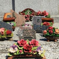 ideas for plants on a grave sites