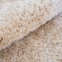 ways to get rid of ants in carpet