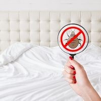 how to get rid of bed bugs at home