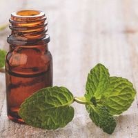 peppermint oil for spiders