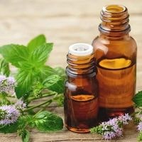 peppermint oil to avoid spiders