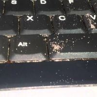signs of ant in laptop