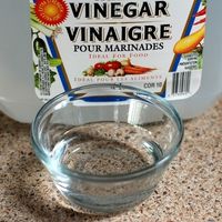 vinegar to kill fleas