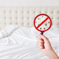 where to sleep if you have bed bugs