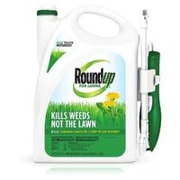 roundup ready-to-use weed killer
