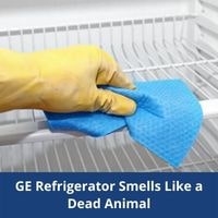 clean the refrigerator