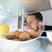 GE Refrigerator Smells Like A Dead Animal (Revealed!)