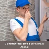 ge refrigerator smells like a dead animal