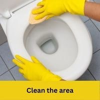 Clean the area