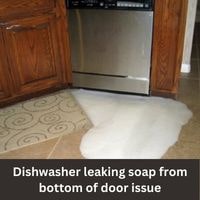 Dishwasher leaking soap from bottom of door issue 2023 guide
