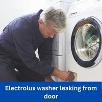 Electrolux washer leaking from door
