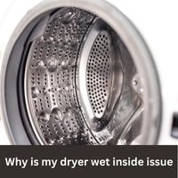 Why is my dryer wet inside issue 2023 guide